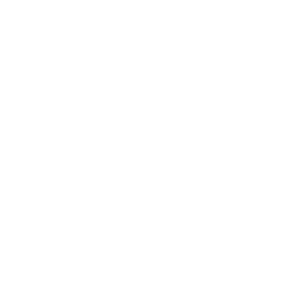 Brioni Jobs Logo