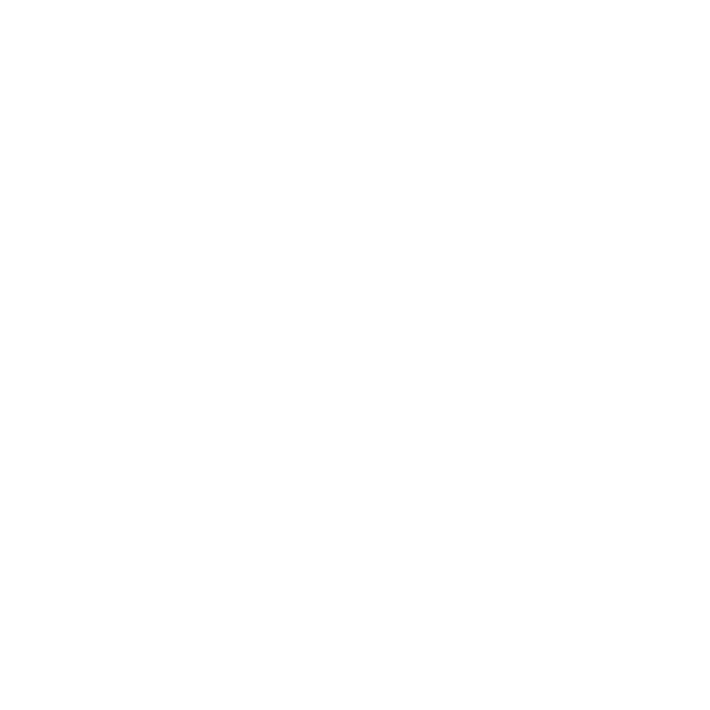 Brioni Logo