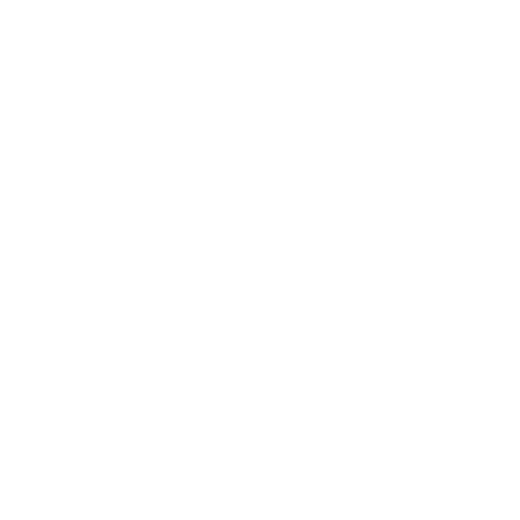 DFS Logo