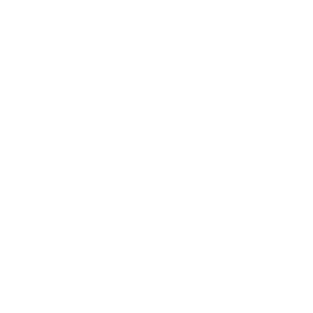 Puig Logo