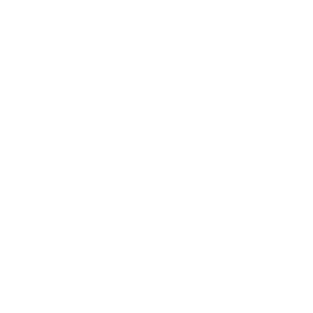 Stuart Weitzman Logo