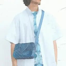 Client Advisor visual