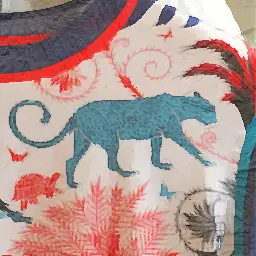 Communications Project Officer visual