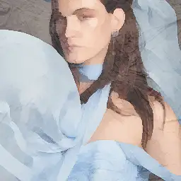 Sales Ambassador visual