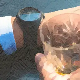 Sales Advisor visual