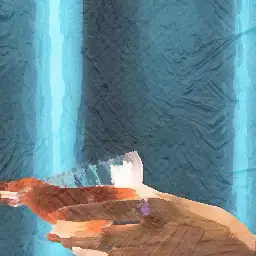 Internal Control and Risk Management Apprentice visual