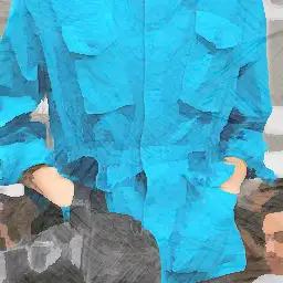 Client Advisor visual