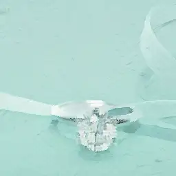 Branch Security Officer visual